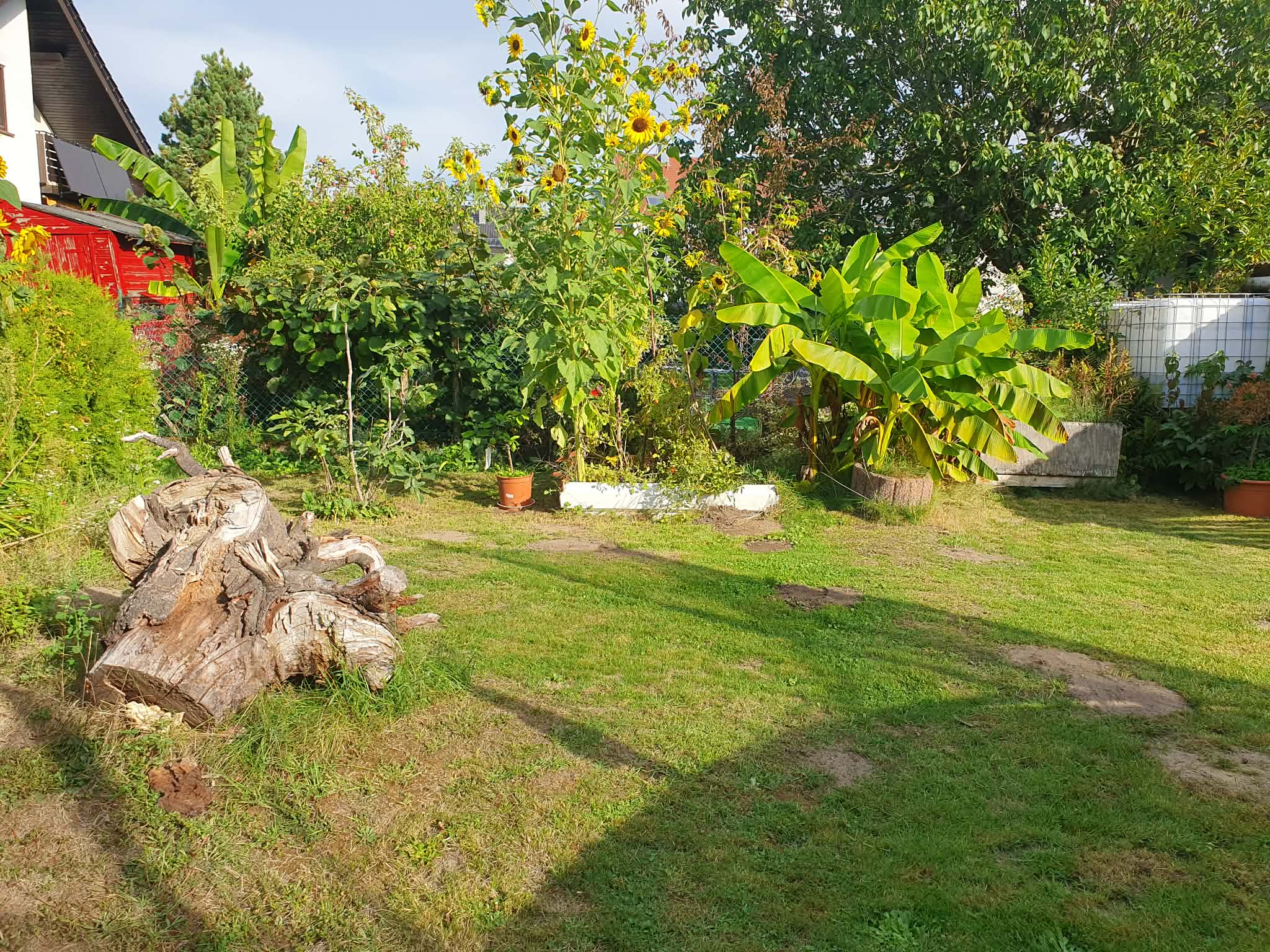 Weiterer Blick in den Garten